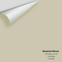 Benjamin Moore - Camouflage 2143-40 Colour Sample