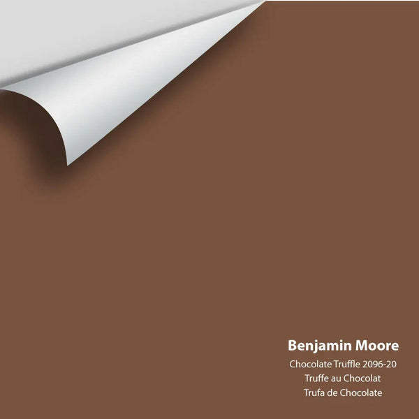 Big Paint Chip - Chocolate Truffle 2096-20 Colour Sample