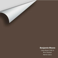 Big Paint Chip - Classic Brown 2109-10 Colour Sample