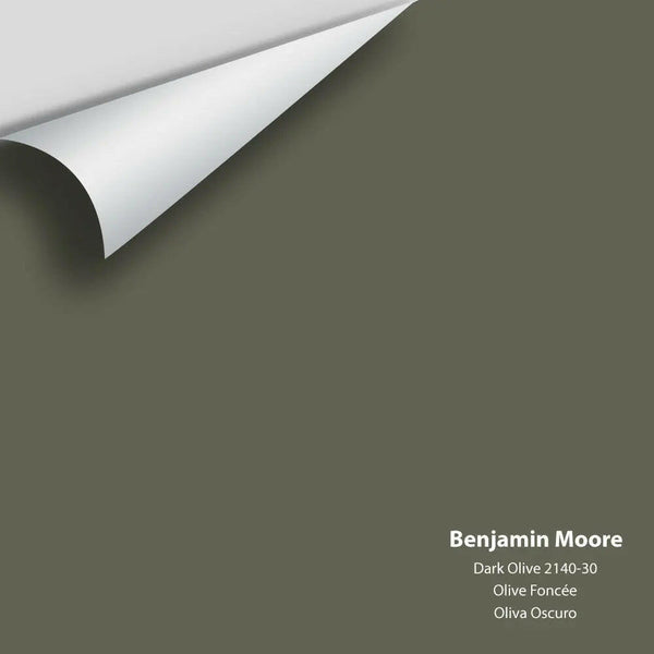 Benjamin Moore - Dark Olive 2140-30 Colour Sample