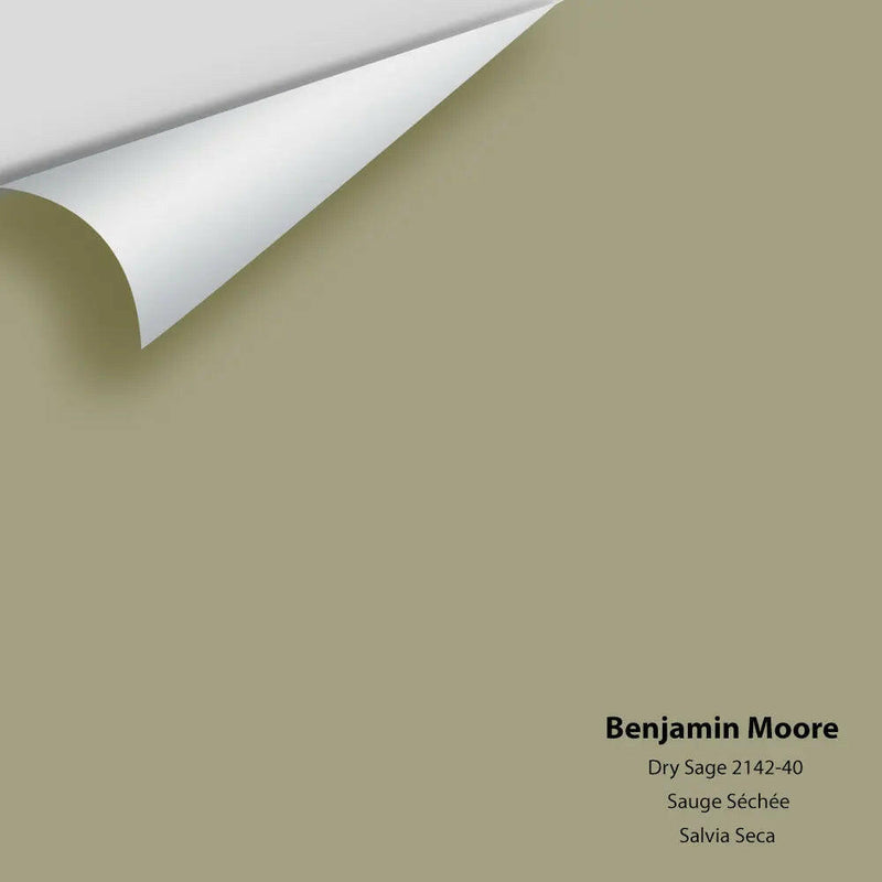 Benjamin Moore - Dry Sage 2142-40 Colour Sample