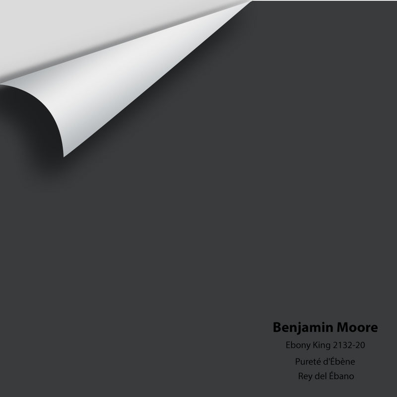 Benjamin Moore - Ebony King 2132-20 Colour Sample