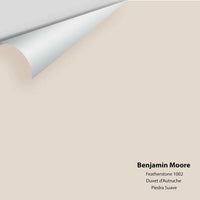 Benjamin Moore - Featherstone 1002 Colour Sample