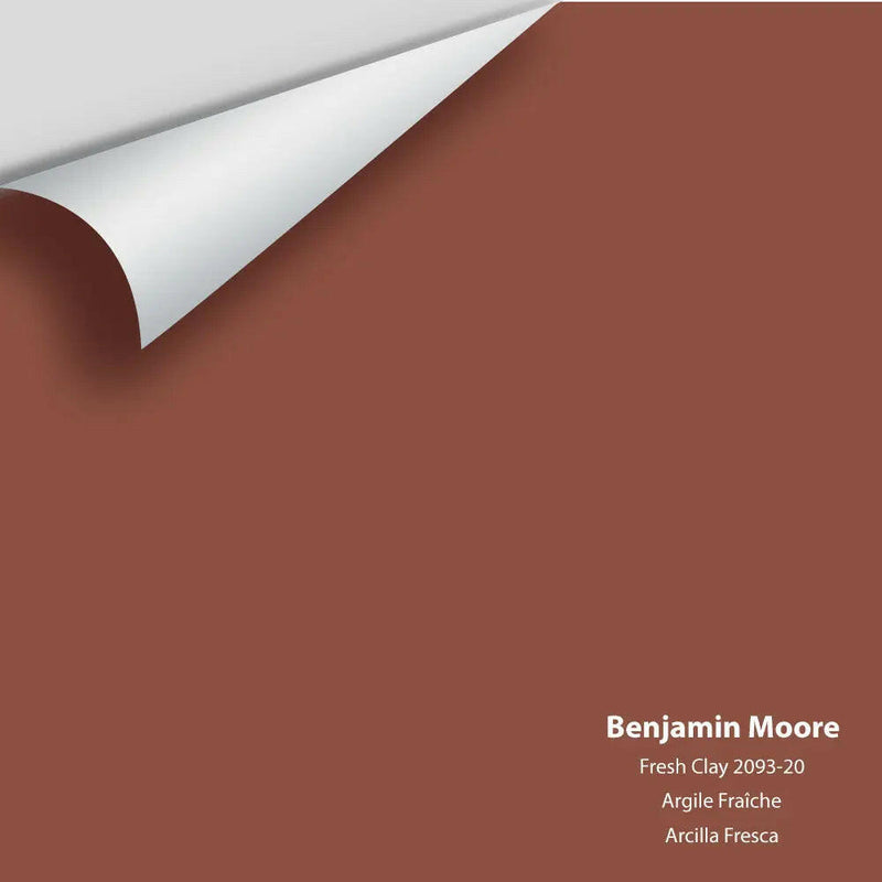 Benjamin Moore - Fresh Clay 2093-20 Colour Sample