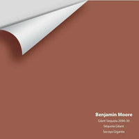 Benjamin Moore - Giant Sequoia 2094-30 Colour Sample