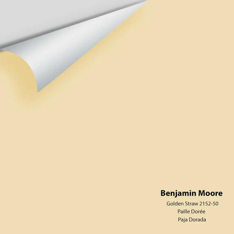 Benjamin Moore - Golden Straw 2152-50 Colour Sample