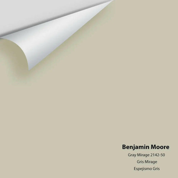 Benjamin Moore - Gray Mirage 2142-50 Colour Sample