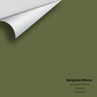 Benjamin Moore - Guacamole 2144-10 Colour Sample