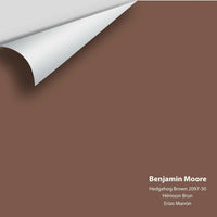 Benjamin Moore - Hedgehog Brown 2097-30 Colour Sample