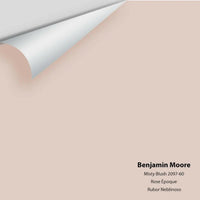 Benjamin Moore - Misty Blush 2097-60 Colour Sample