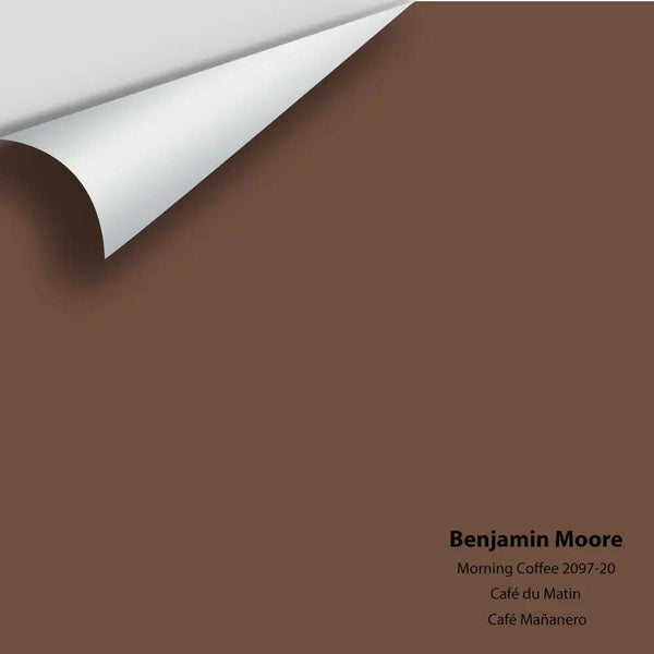 Big Paint Chip - Morning Coffee 2097-20
