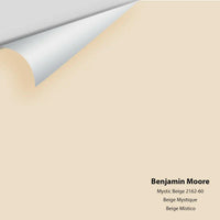 Big Paint Chip - Mystic Beige 2162-60