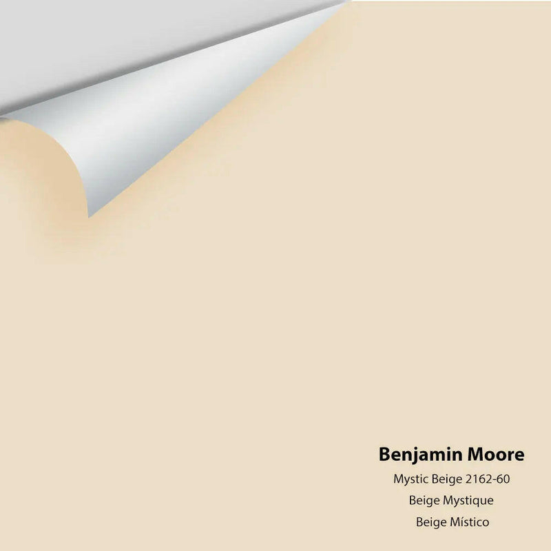 Big Paint Chip - Mystic Beige 2162-60