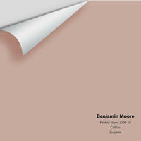 Big Paint Chip - Pebble Stone 2100-50