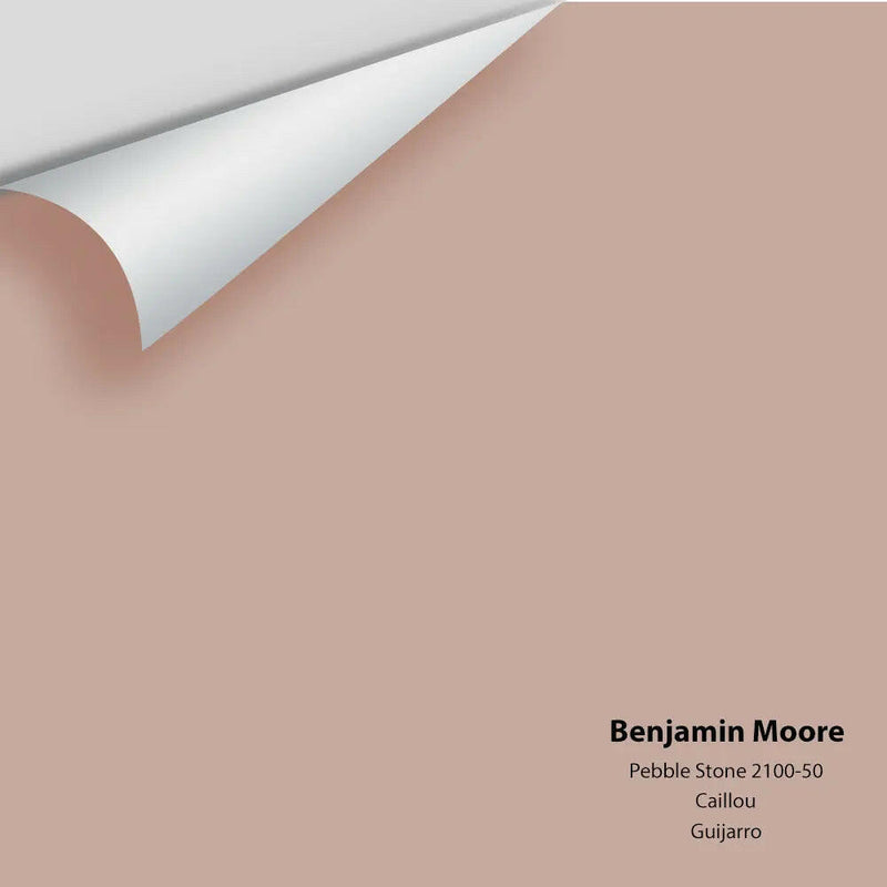 Big Paint Chip - Pebble Stone 2100-50