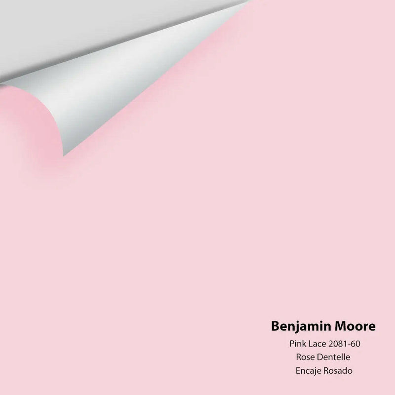 Benjamin Moore - Pink Lace 2081-60 Colour Sample