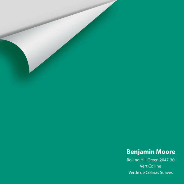 Big Paint Chip - Rolling Hill Green 2047-30