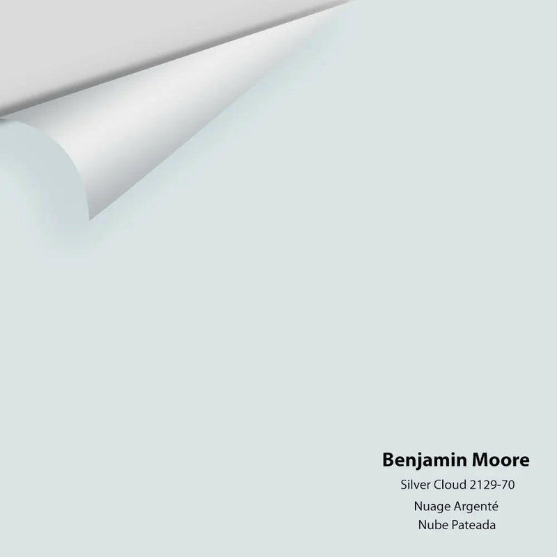 Benjamin Moore - Silver Cloud 2129-70 Colour Sample