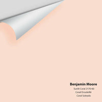 Benjamin Moore - Sunlit Coral 2170-60 Colour Sample