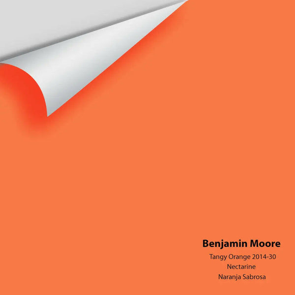 Big Paint Chip - Tangy Orange 2014-30