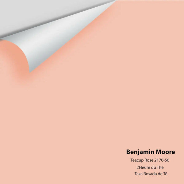 Benjamin Moore - Teacup Rose 2170-50 Colour Sample