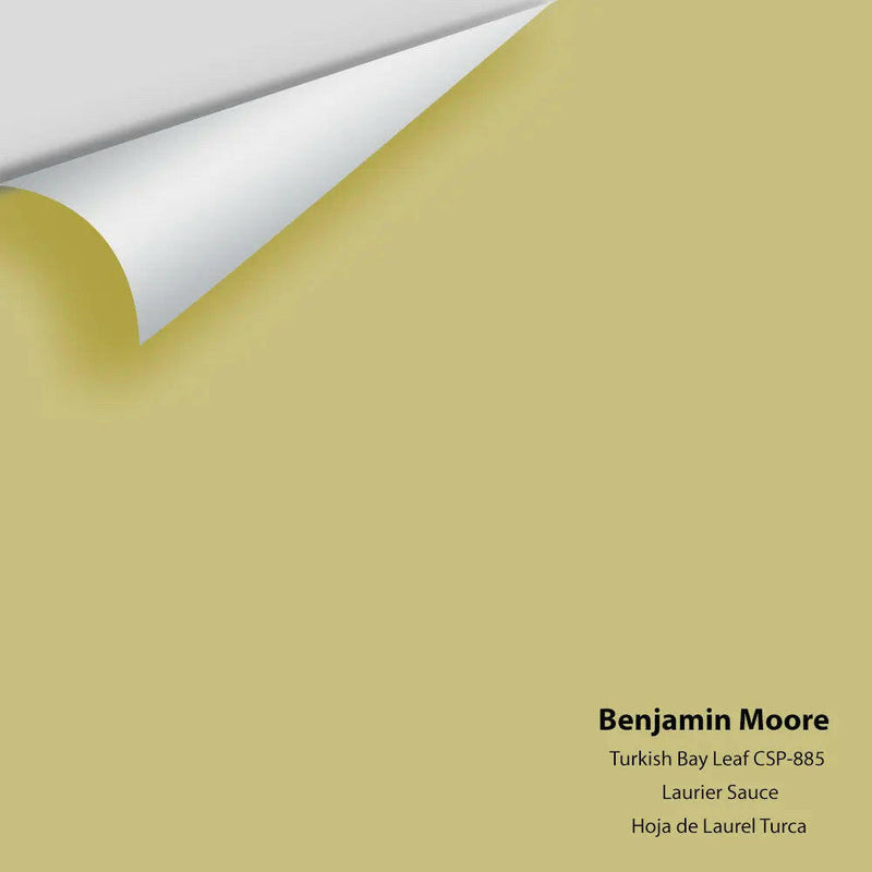 Benjamin Moore - Turkish Bay Leaf CSP-885 Colour Sample