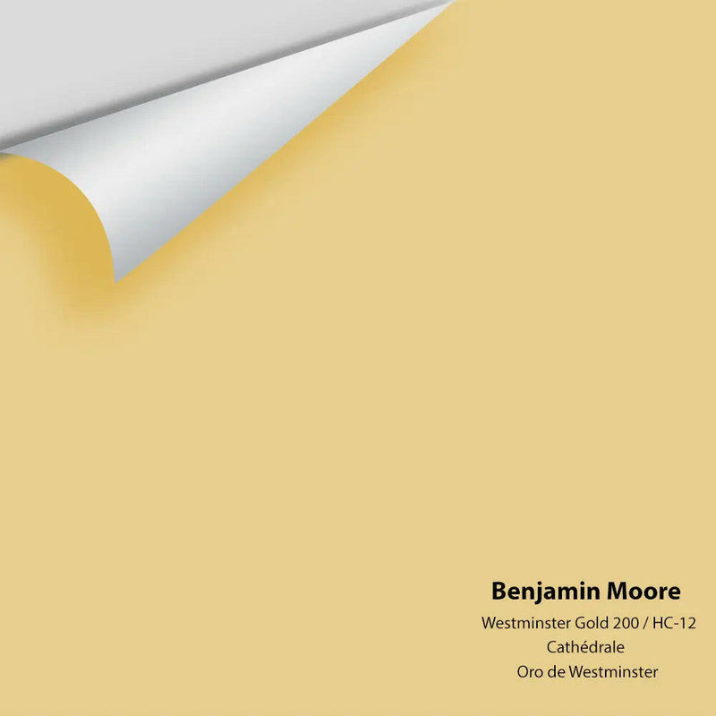 Benjamin Moore - Westminster Gold 200 Colour Sample