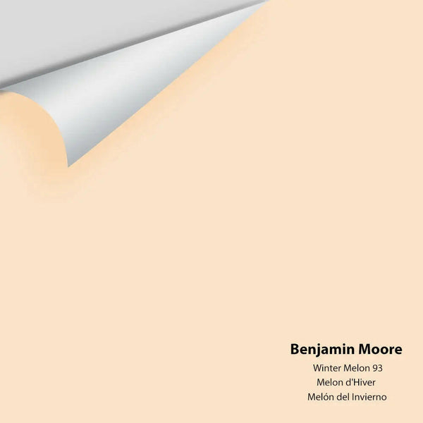 Benjamin Moore - Winter Melon 93 Colour Sample