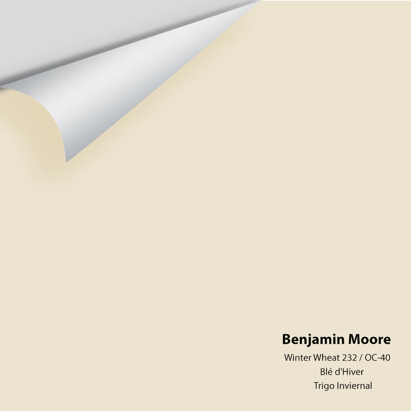 Benjamin Moore - Winter Wheat 232 Colour Sample