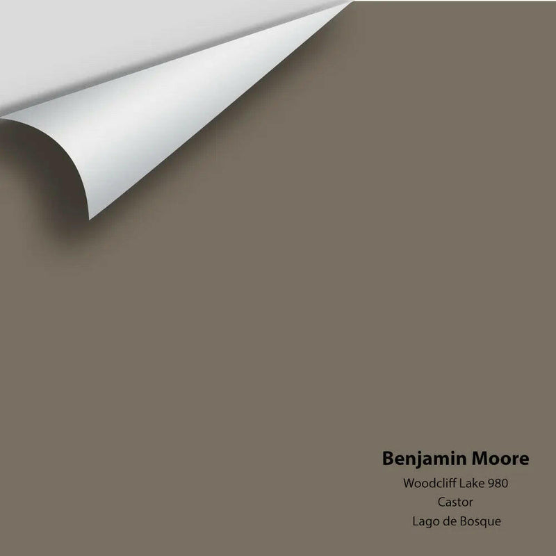 Benjamin Moore - Woodcliff Lake 980 Colour Sample