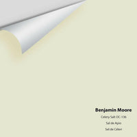 Benjamin Moore - Celery Salt 938 / OC-136 Colour Sample