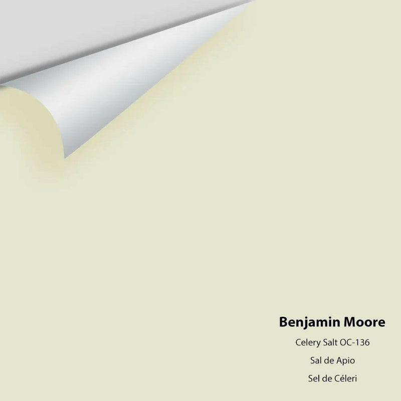 Benjamin Moore - Celery Salt 938 / OC-136 Colour Sample