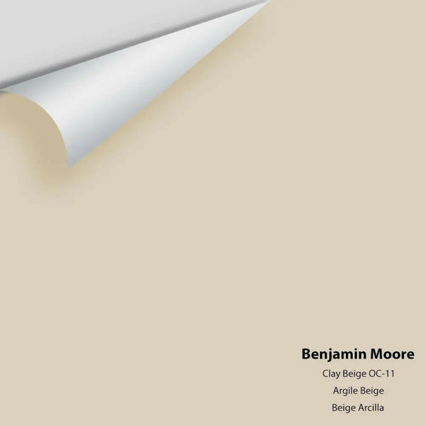 Benjamin Moore - Clay Beige OC-11 Colour Sample