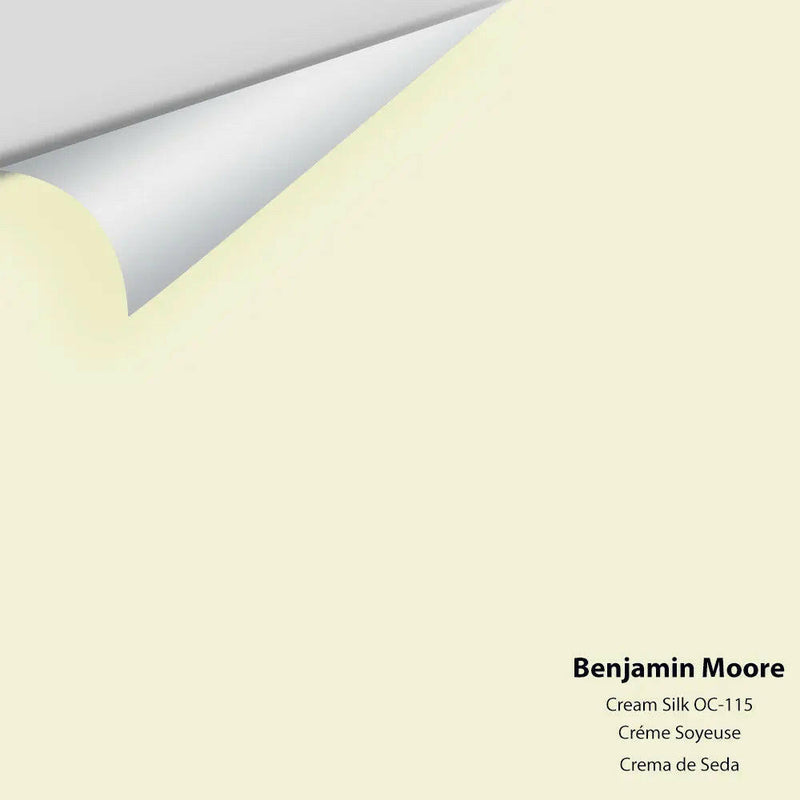Big Paint Chip - Cream Silk 2146-60 / OC-115 - Colour Squared Inc.