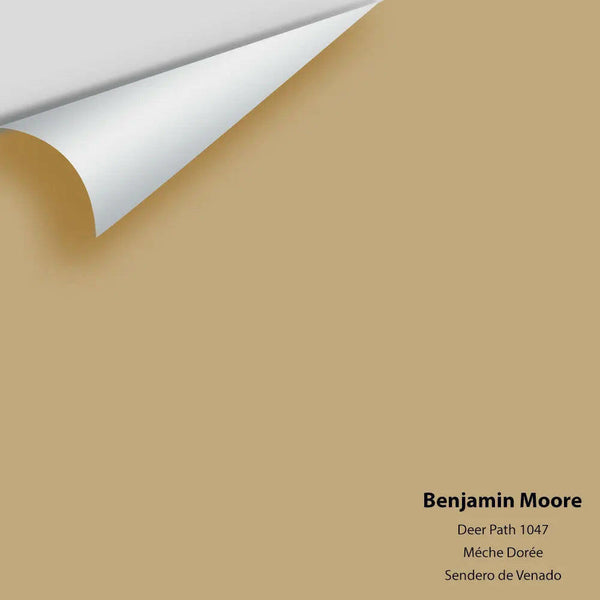 Benjamin Moore - Deer Path 1047 Colour Sample