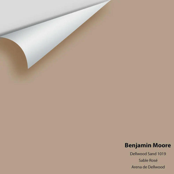 Benjamin Moore - Dellwood Sand 1019 Colour Sample