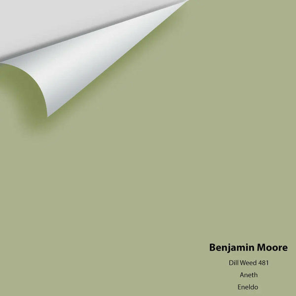 Benjamin Moore - Dill Weed 481 Colour Sample