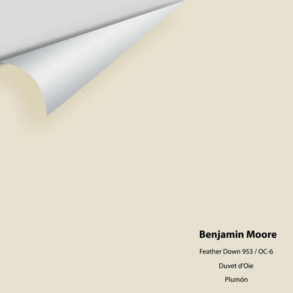 Benjamin Moore - Feather Down 953 / OC-6 Colour Sample