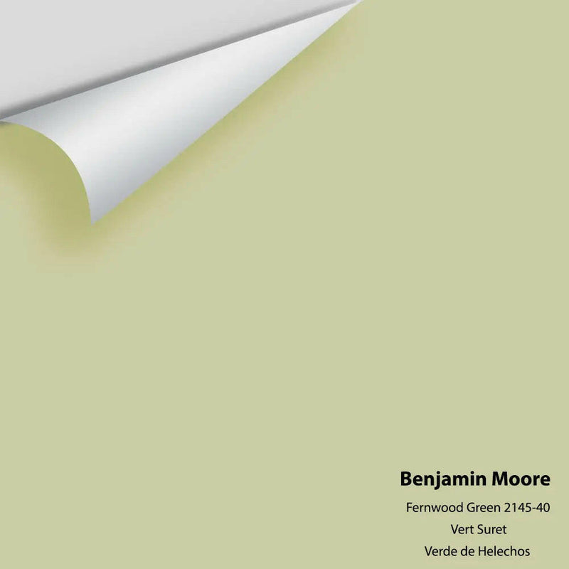 Benjamin Moore - Fernwood Green 2145-40 Colour Sample