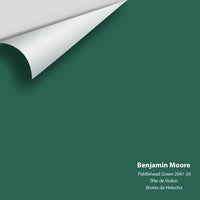 Benjamin Moore - Fiddlehead Green 2041-20 Colour Sample