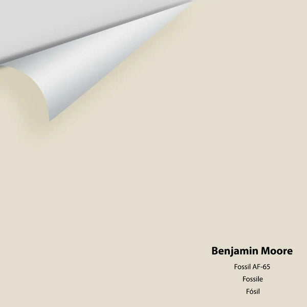 Benjamin Moore - Fossil AF-65 Colour Sample