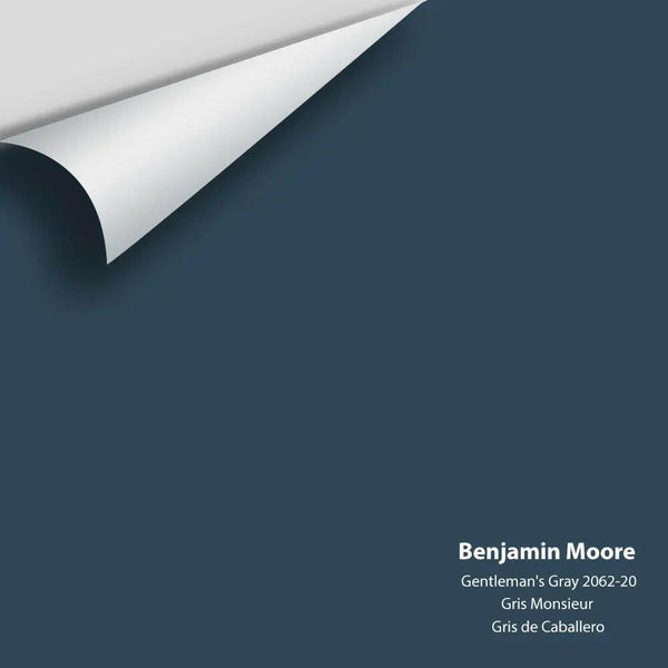 Benjamin Moore - Gentleman's Gray 2062-20 Colour Sample