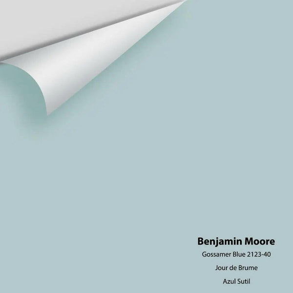 Benjamin Moore - Gossamer Blue 2123-40 Colour Sample