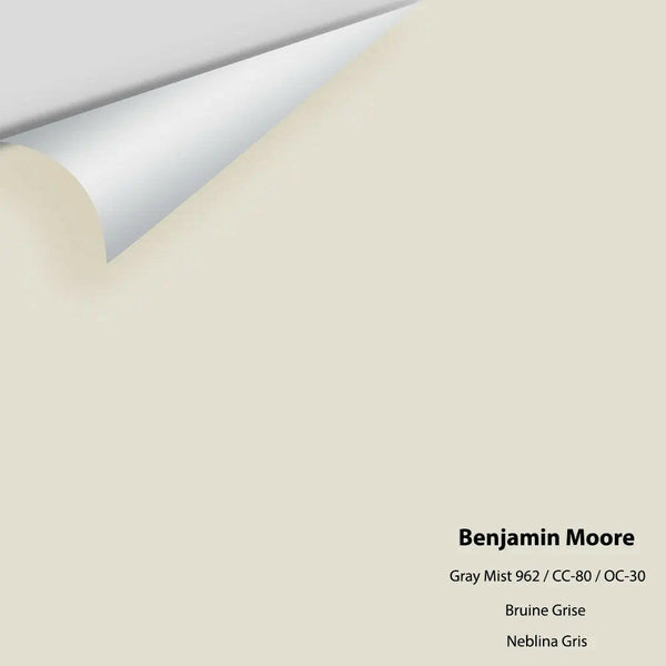 Benjamin Moore - Gray Mist 962 / CC-80 / OC-30 Colour Sample