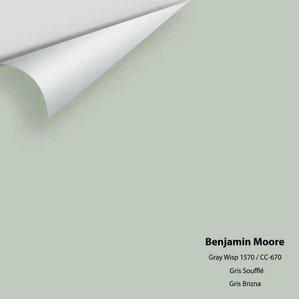 Benjamin Moore - Gray Wisp 1570 / CC-670 Colour Sample