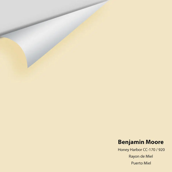 Benjamin Moore - Honey Harbour 920 / CC-170 Colour Sample