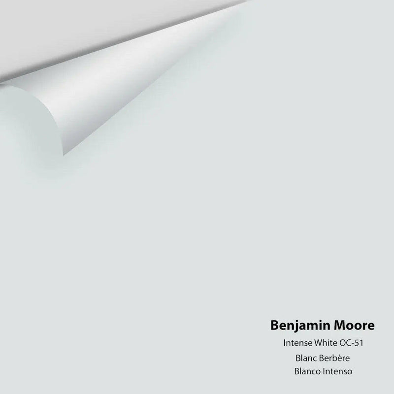 Benjamin Moore - Intense White OC-51 Colour Sample