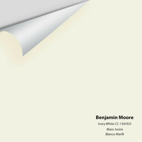 Benjamin Moore - Ivory White 925 / CC-130 Colour Sample