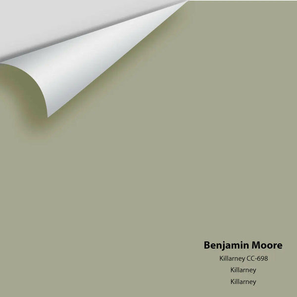 Benjamin Moore - Killarney CC-698 Colour Sample