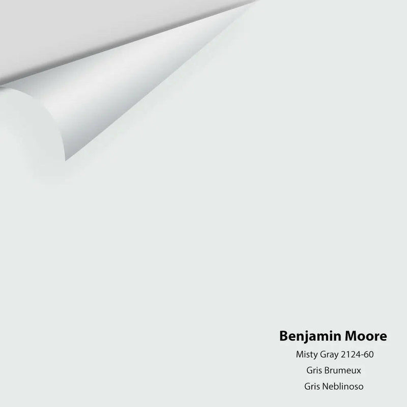 Benjamin Moore - Misty Gray 2124-60 Colour Sample